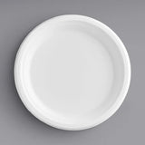 Bagasse 9" Round Plate [ Pack of 50 ]