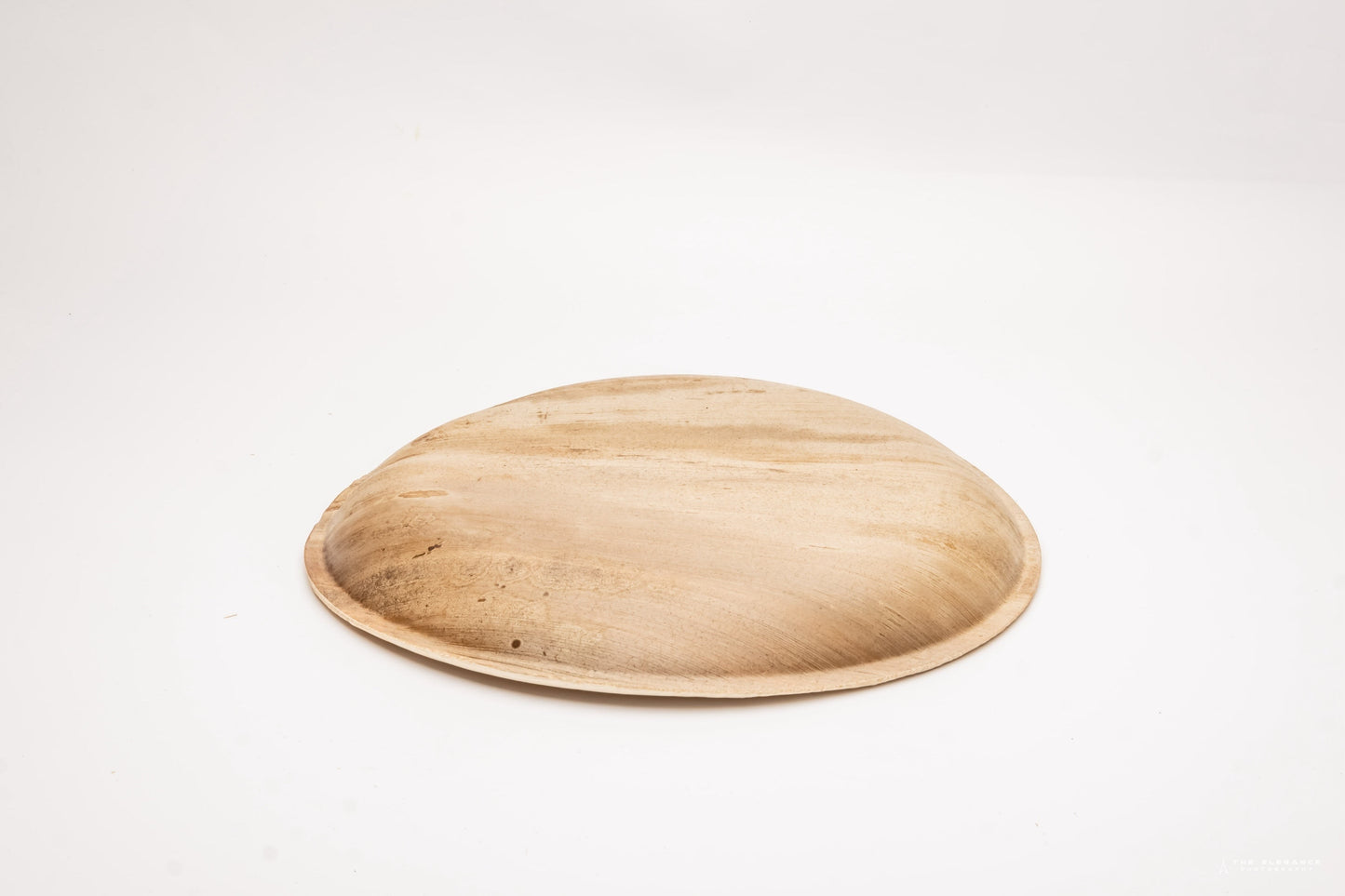 ARECA 9 INCH SHALLOW ROUND PLATES [Pack of 25]